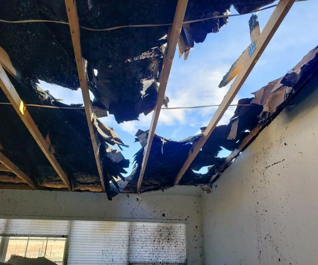 reclamación de seguros